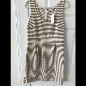 Loft Shift Dress, New With Tags